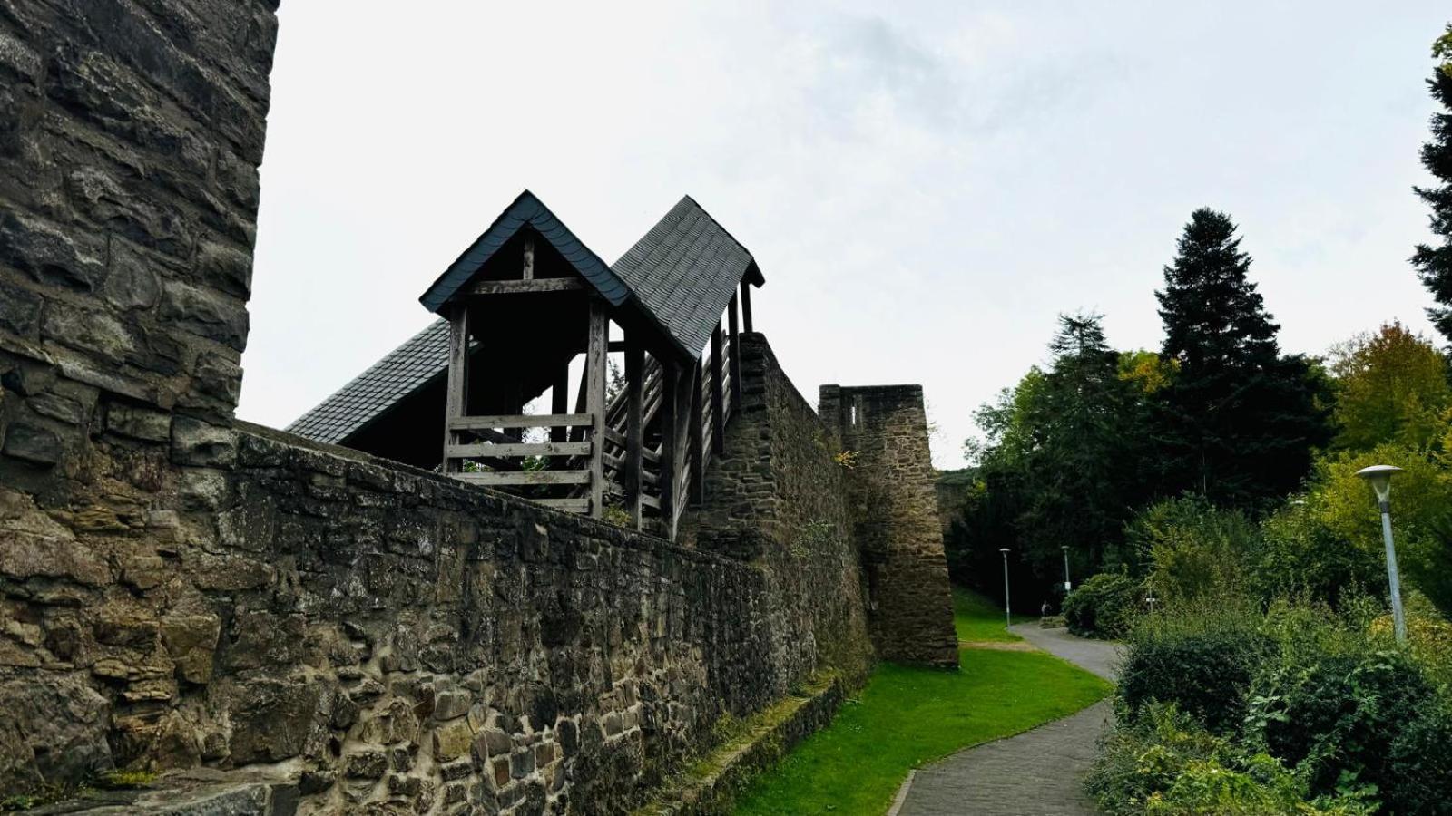 Ferienwohnung Orchidee Bad Muenstereifel Exterior foto